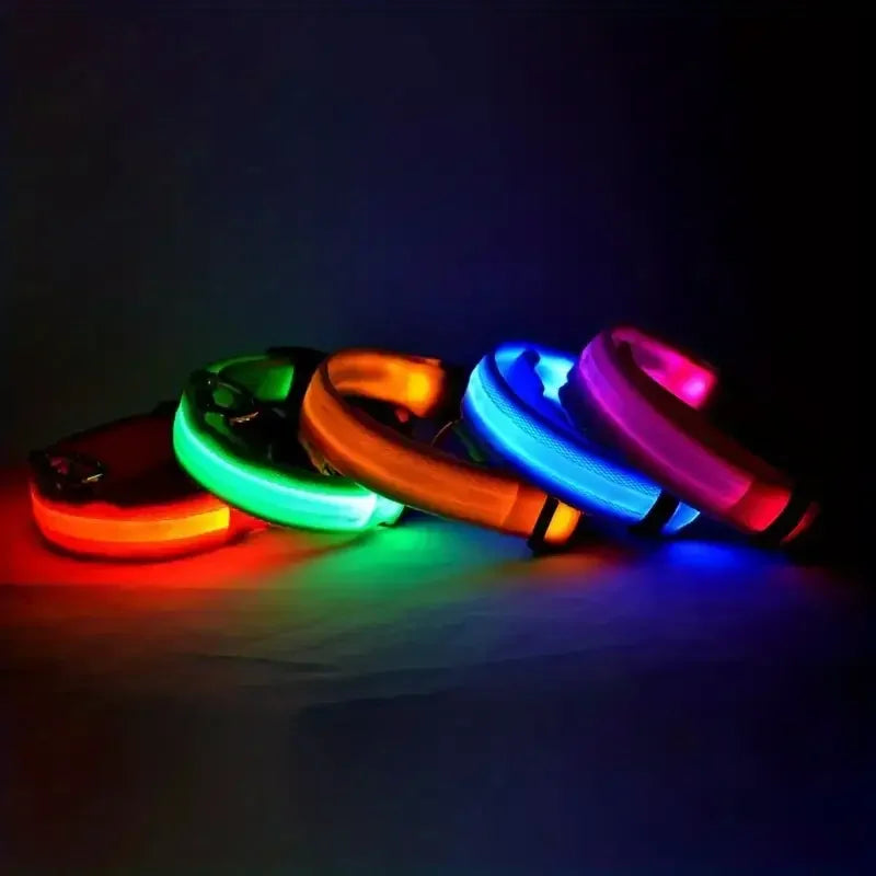 Flashing Glow In The Dark Dog Lead