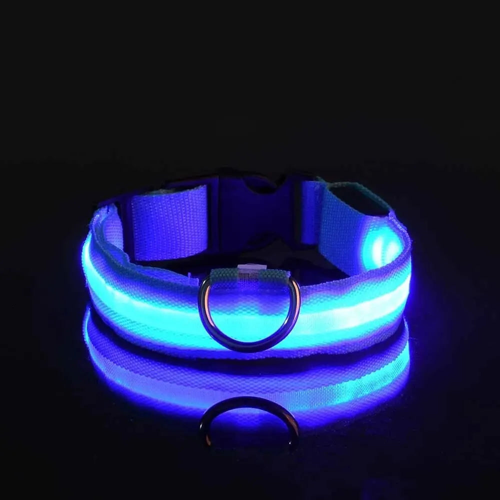 Flashing Glow In The Dark Dog Lead
