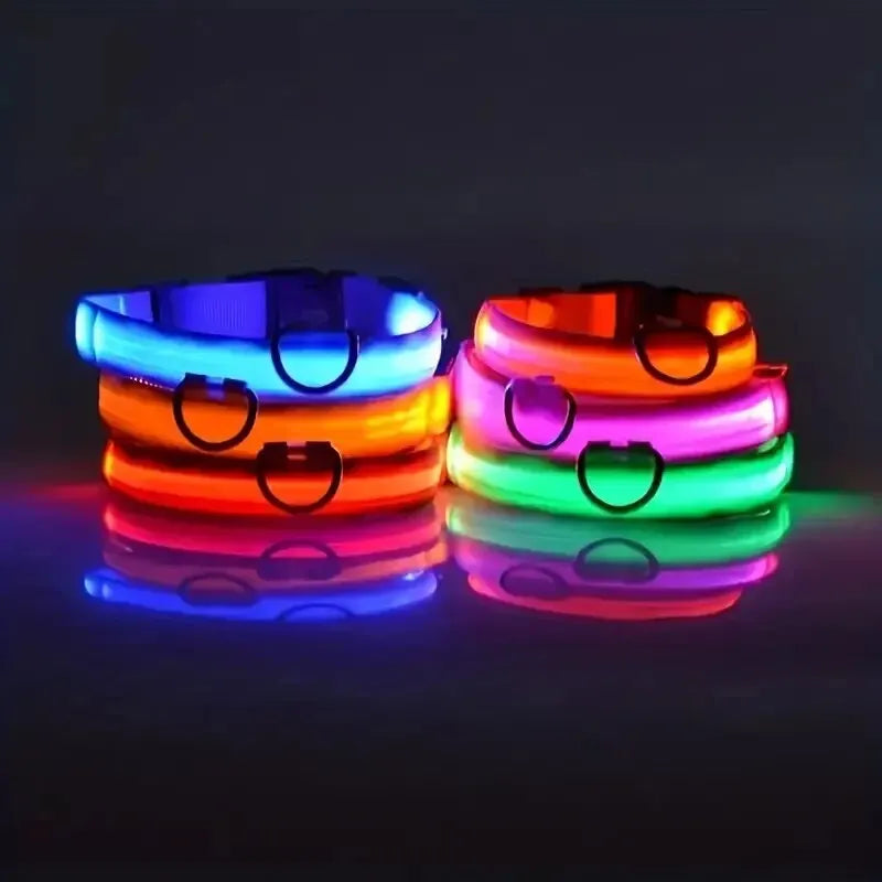 Flashing Glow In The Dark Dog Lead