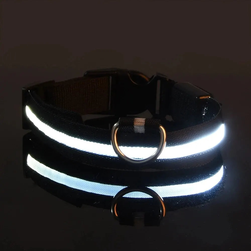 Flashing Glow In The Dark Dog Lead