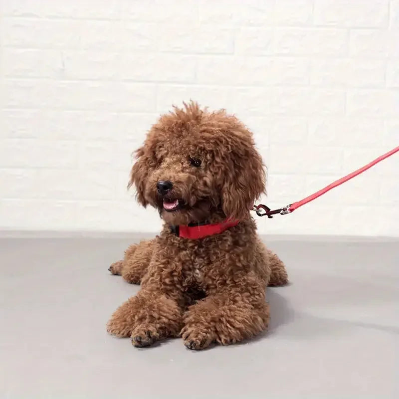 Flashing Glow In The Dark Dog Lead