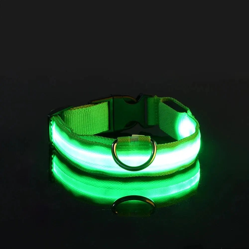 Flashing Glow In The Dark Dog Lead