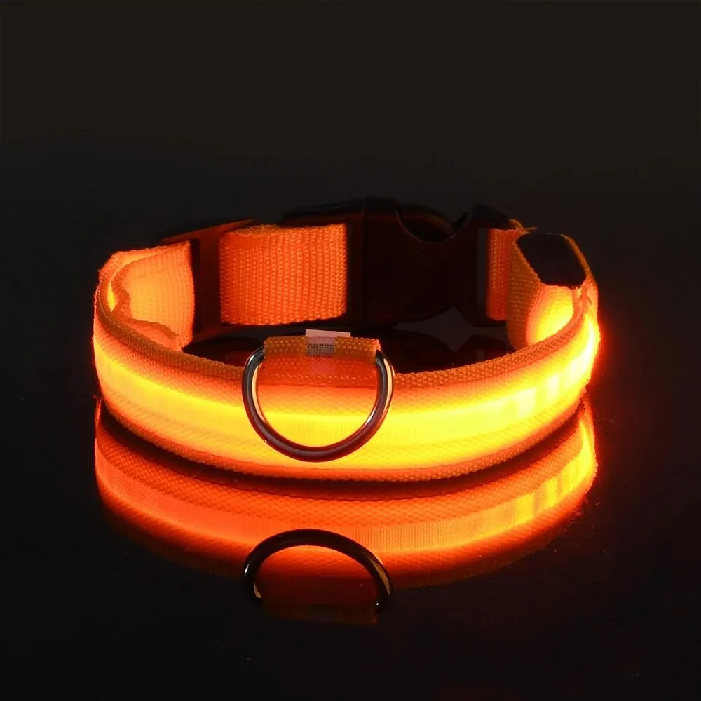 Flashing Glow In The Dark Dog Lead