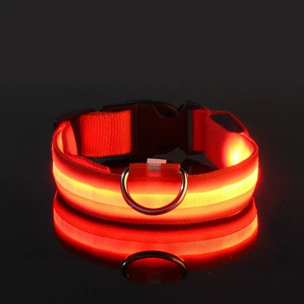 Flashing Glow In The Dark Dog Lead