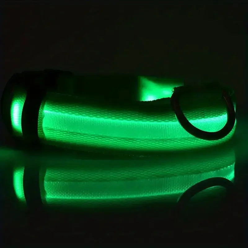 Flashing Glow In The Dark Dog Lead
