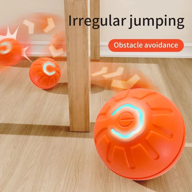 Smart Dog Toy