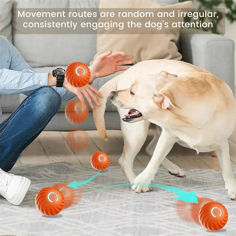 Smart Dog Toy