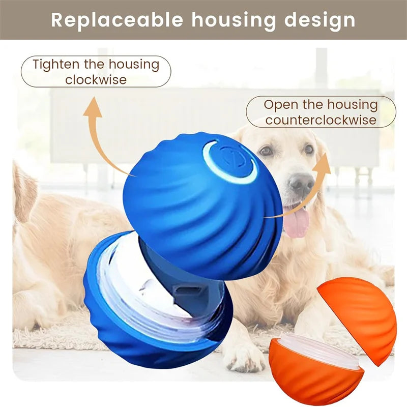 Smart Dog Toy